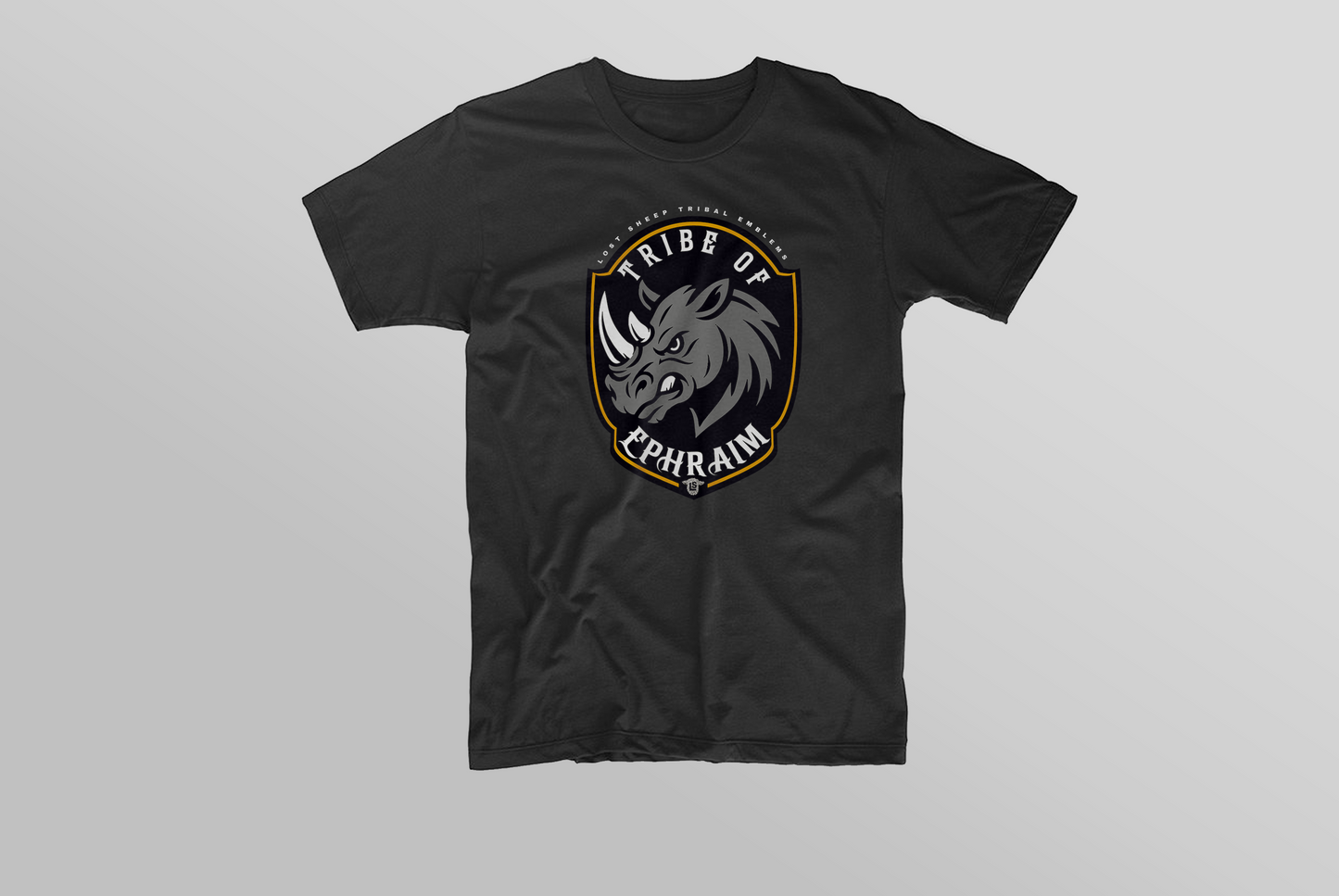 Boys 12 Tribes Collection: Ephraim