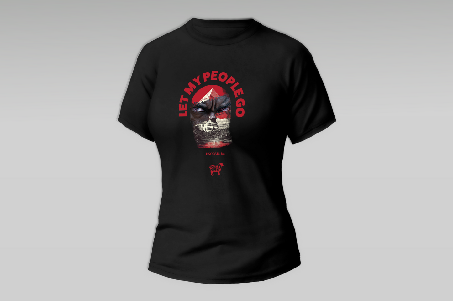 Women's Let My People Go Passover T Shirt