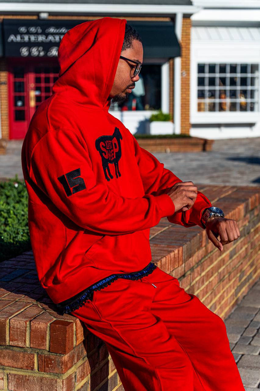 The Lost Sheep David