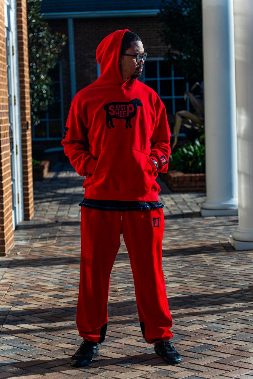 The Lost Sheep David