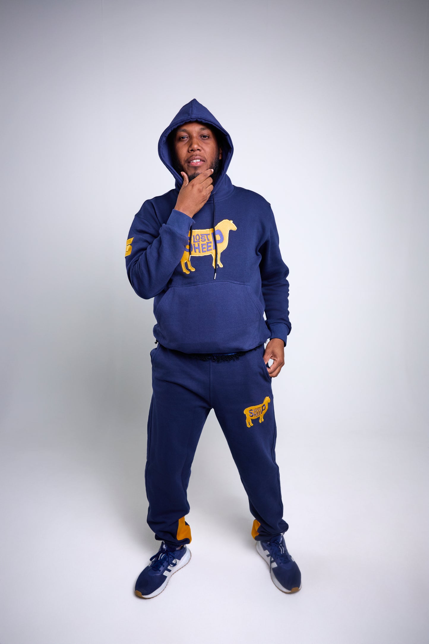 The Lost Sheep David