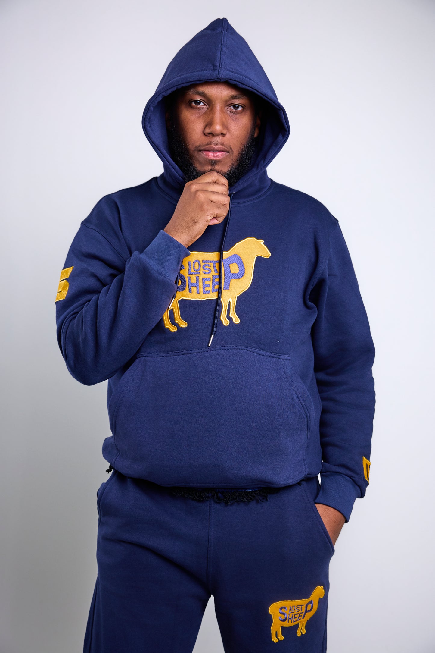 The Lost Sheep David